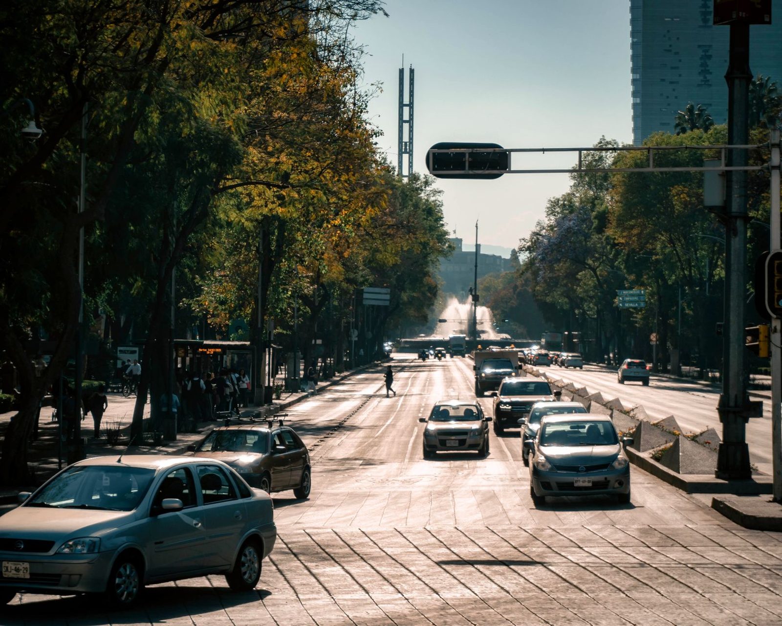 Policía Local y Consumo — Desarrollo Legal